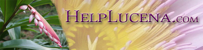 Help Maui Banner